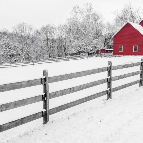 Red Barn, copyright 2019